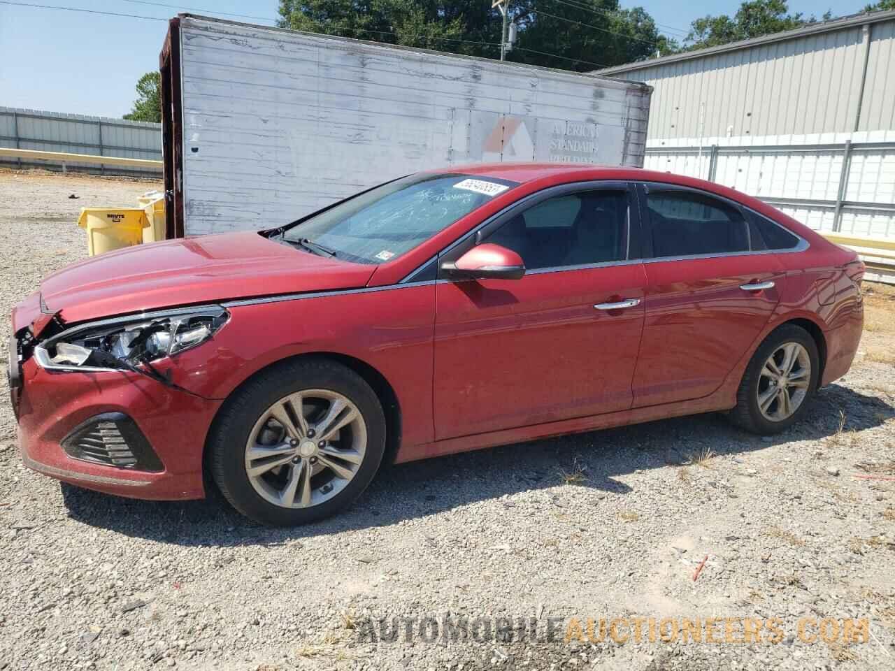 5NPE34AF8KH763736 HYUNDAI SONATA 2019