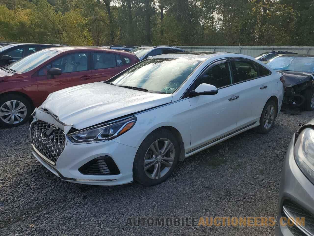 5NPE34AF8KH774929 HYUNDAI SONATA 2019