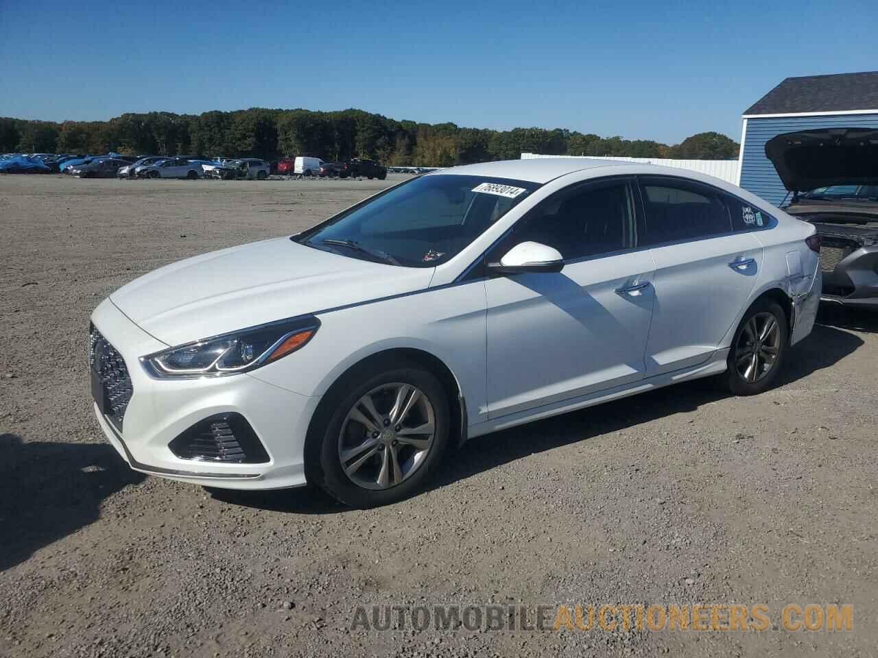 5NPE34AF8KH781556 HYUNDAI SONATA 2019