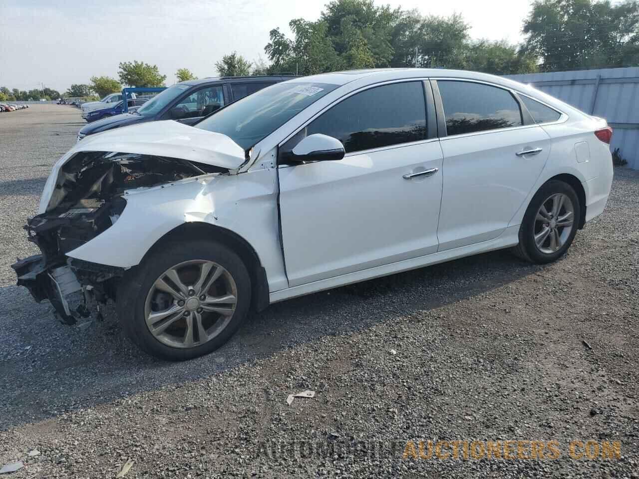 5NPE34AF9KH730583 HYUNDAI SONATA 2019