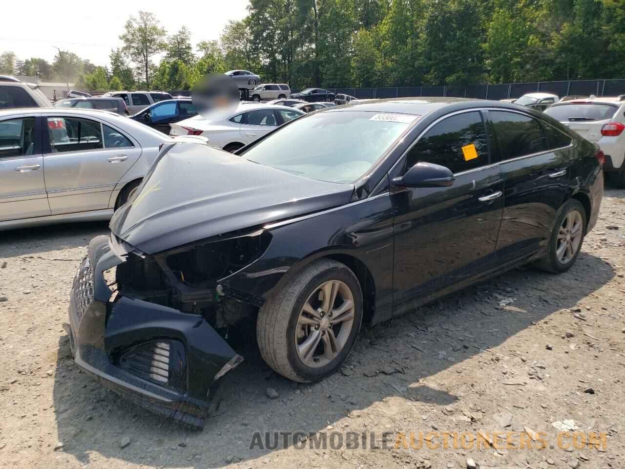 5NPE34AF9KH769934 HYUNDAI SONATA 2019