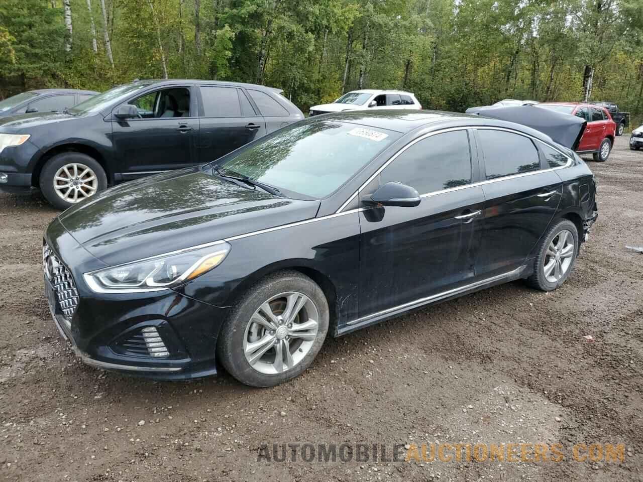 5NPE34AF9KH775474 HYUNDAI SONATA 2019