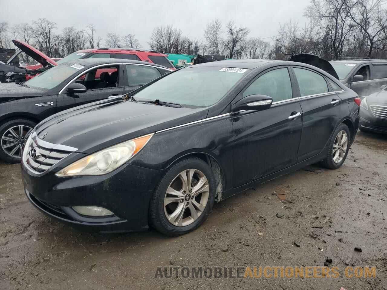 5NPEC4AC5BH281554 HYUNDAI SONATA 2011