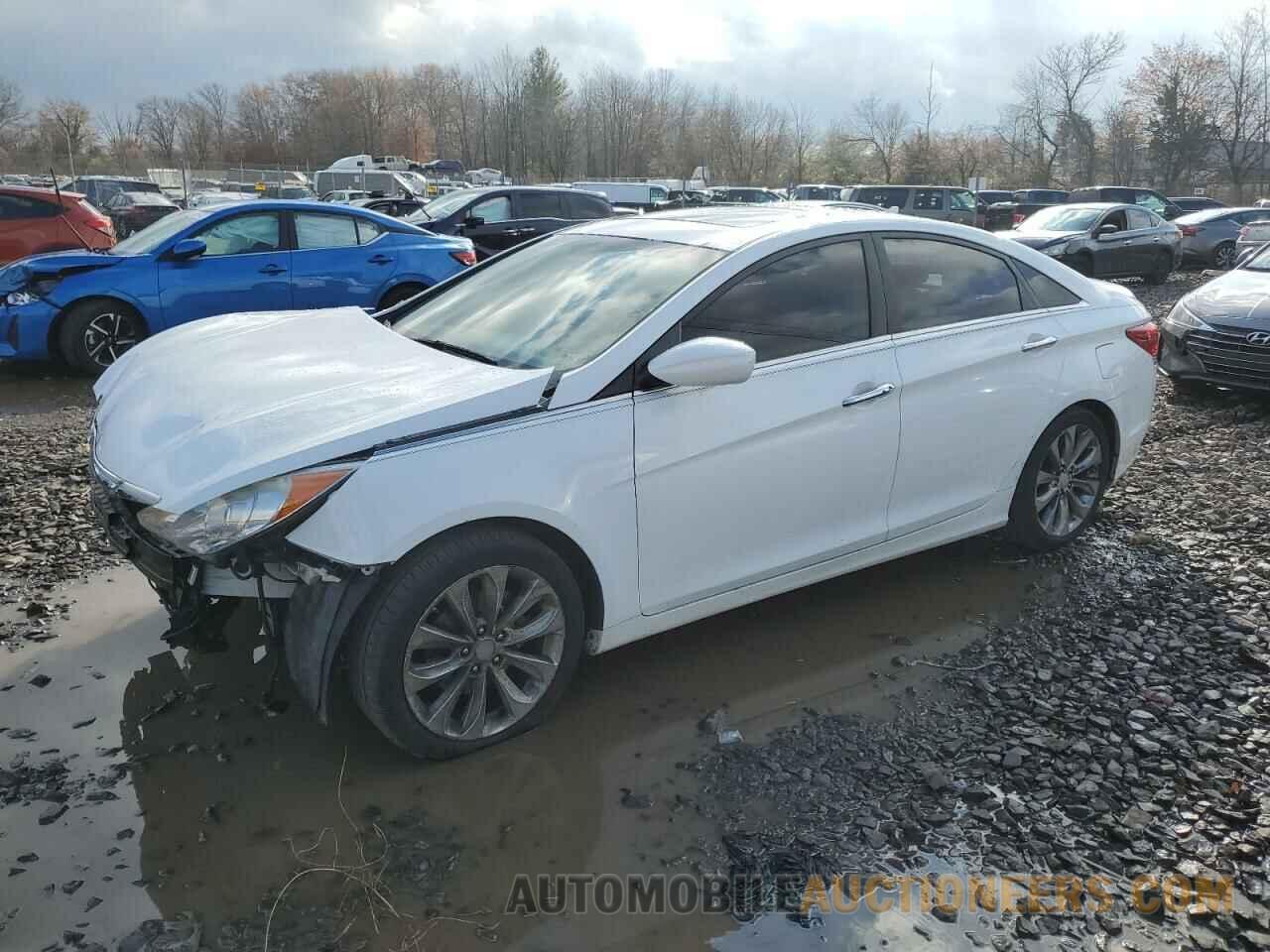 5NPEC4AC6BH288688 HYUNDAI SONATA 2011