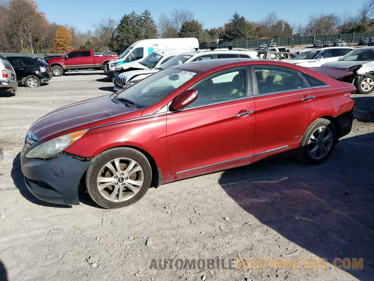 5NPEC4AC7BH116492 HYUNDAI SONATA 2011