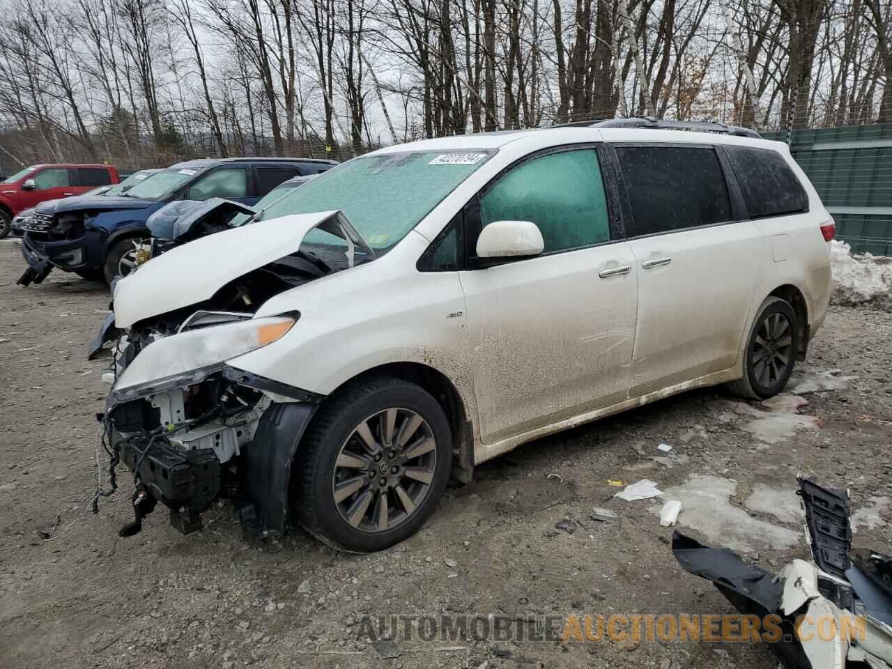 5TDDZ3DC3KS214977 TOYOTA All Models 2019