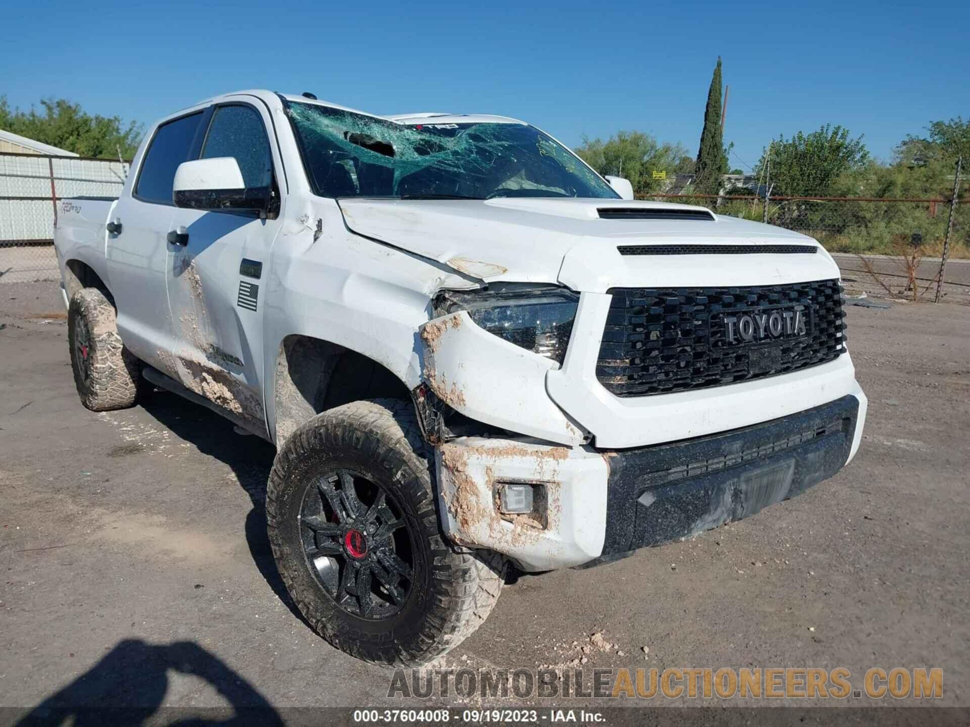 5TFDY5F15KX845914 TOYOTA TUNDRA 4WD 2019