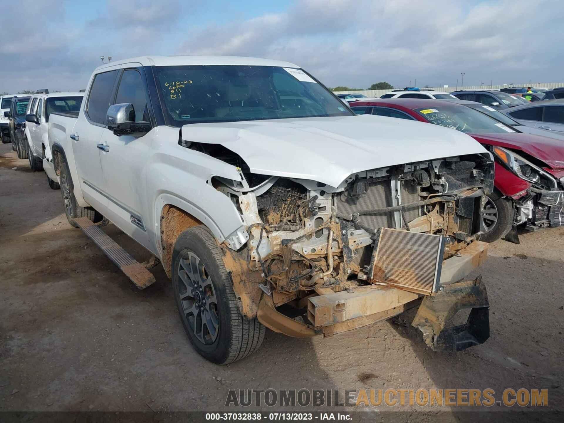 5TFMA5AB6NX004502 TOYOTA TUNDRA 2WD 2022