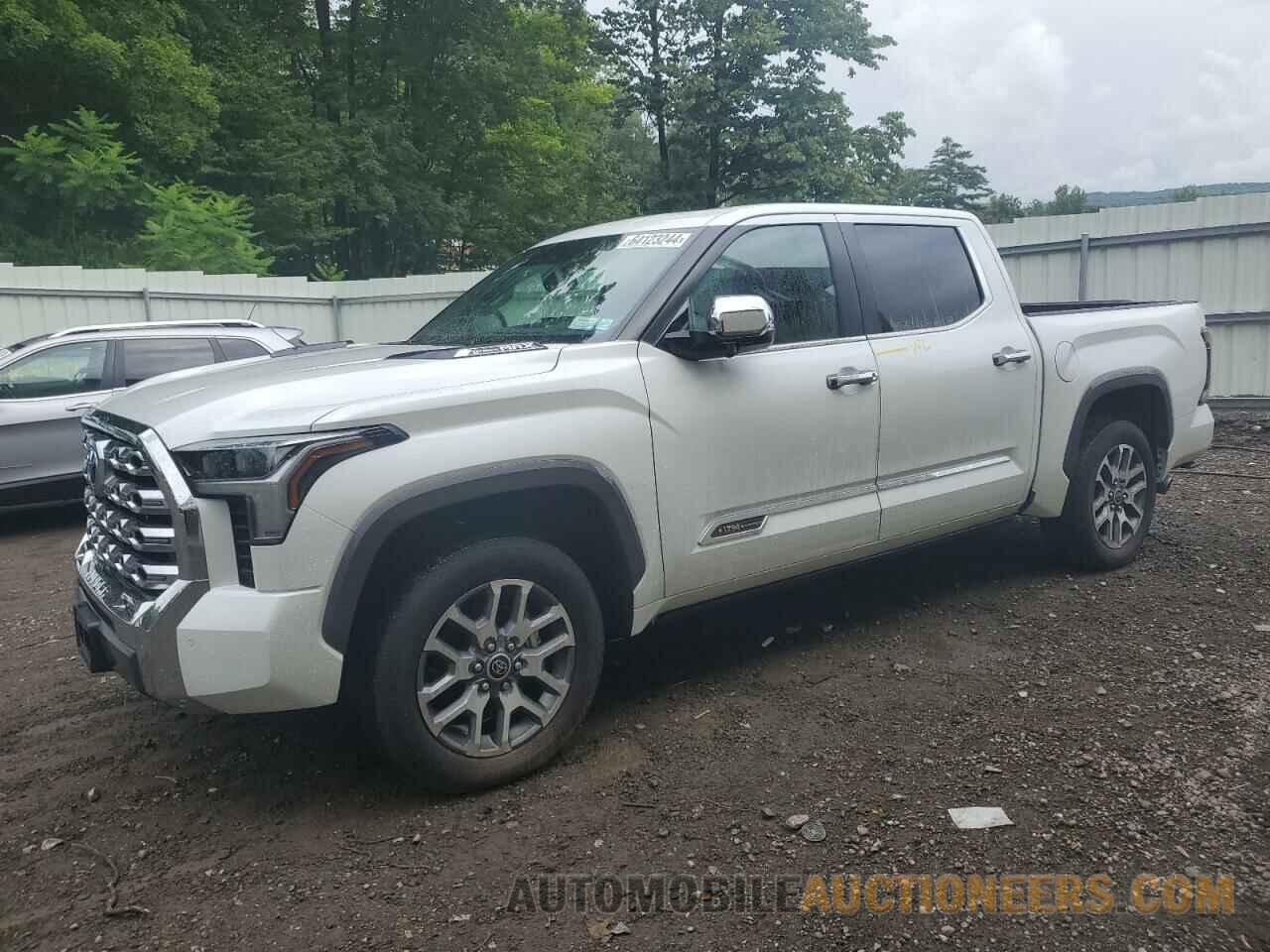 5TFMC5DB6RX051136 TOYOTA TUNDRA 2024