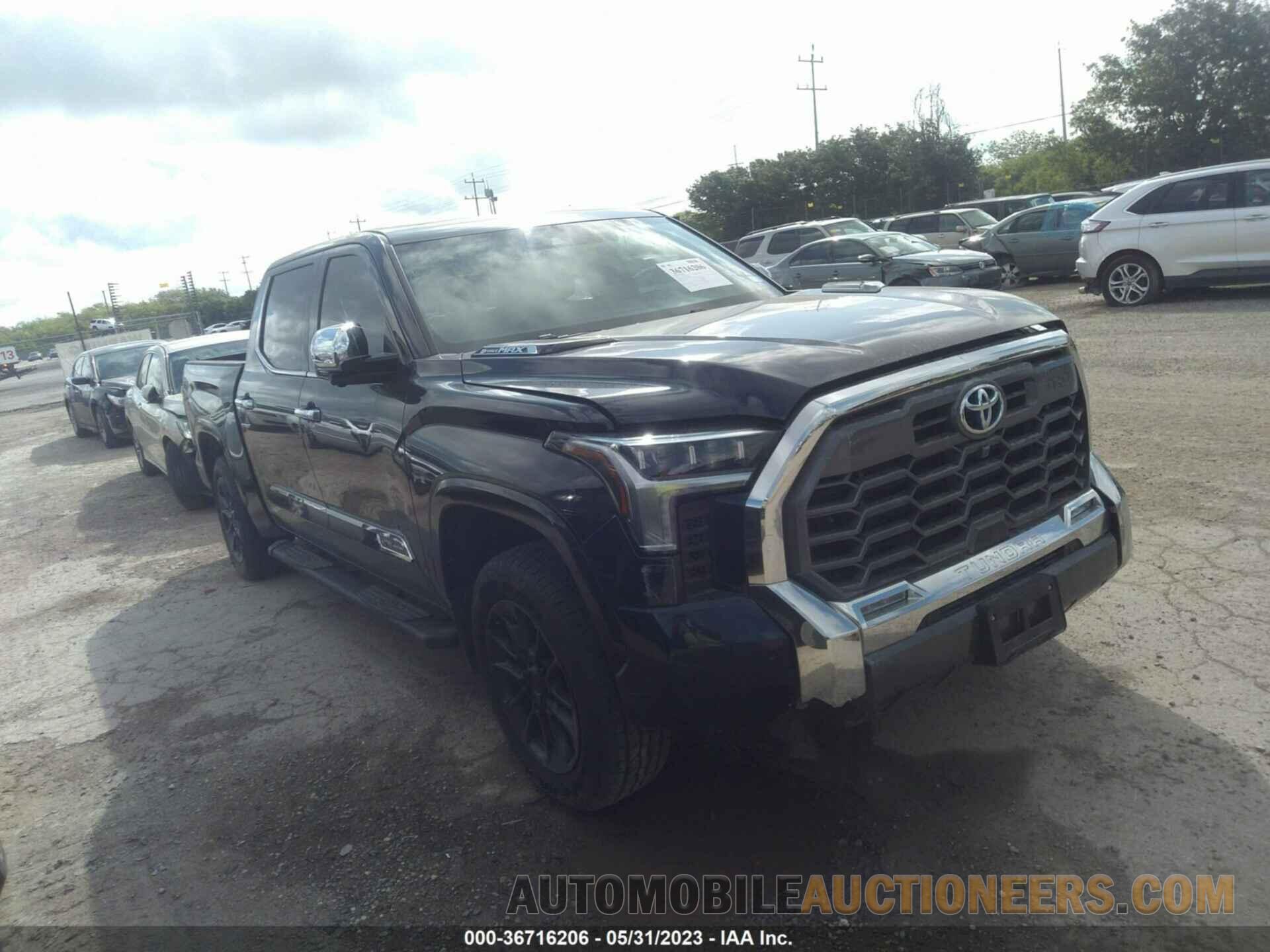 5TFMC5DB8PX018636 TOYOTA TUNDRA 4WD 2023