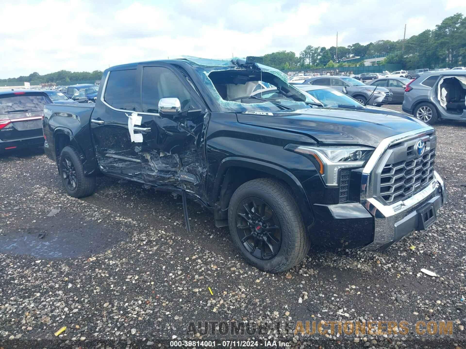 5TFMC5DB9RX067265 TOYOTA TUNDRA 2024