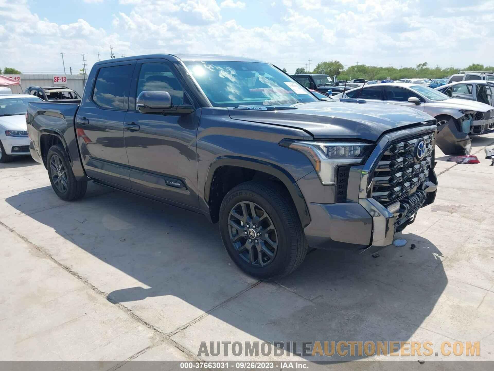 5TFNC5DB1PX020426 TOYOTA TUNDRA 4WD 2023