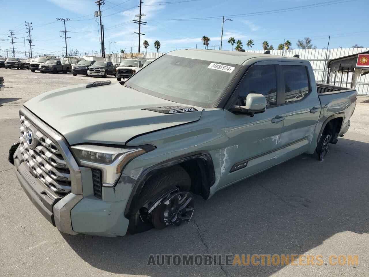 5TFNC5DB5RX062049 TOYOTA TUNDRA 2024