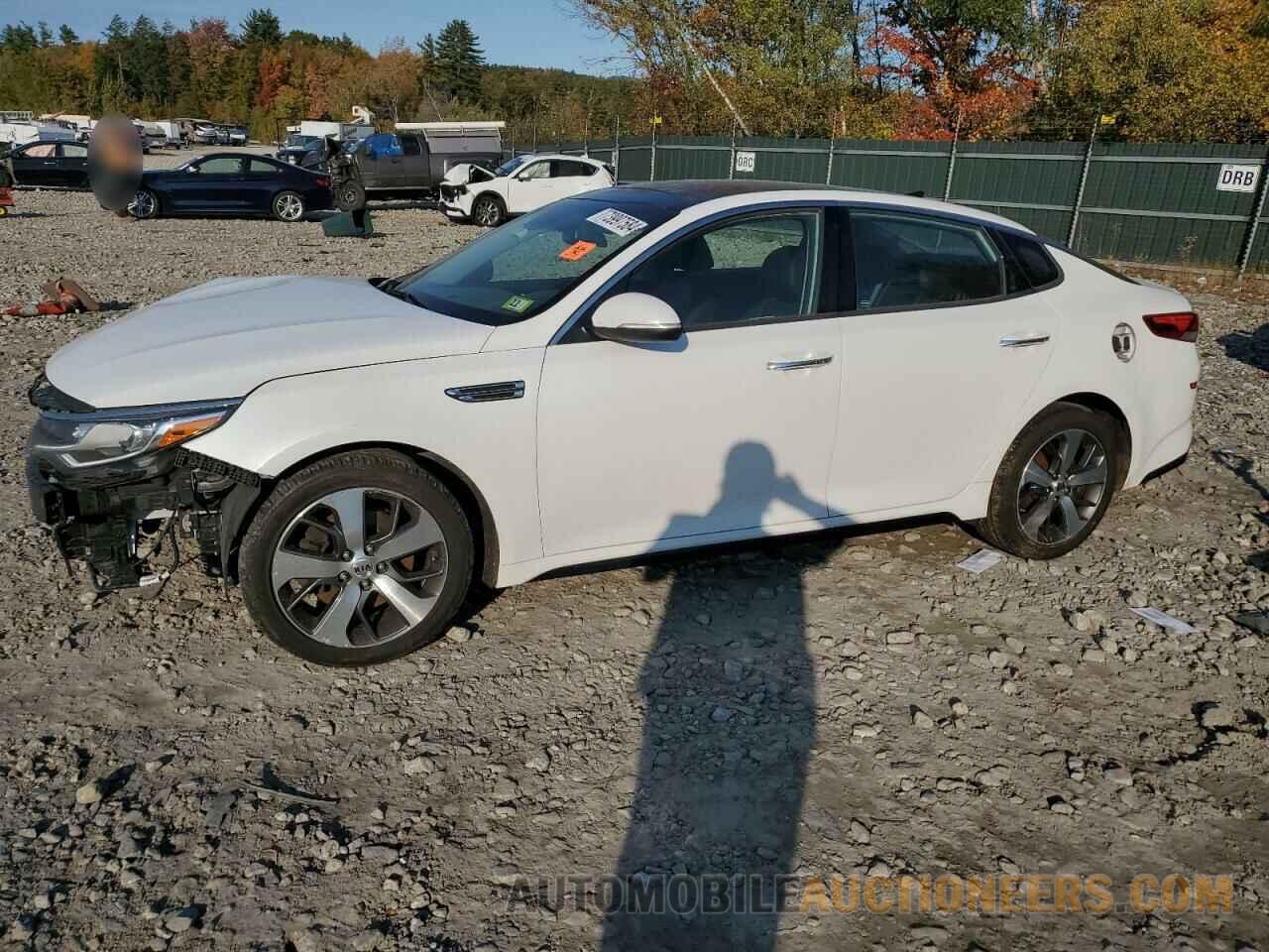 5XXGT4L34KG318014 KIA OPTIMA 2019