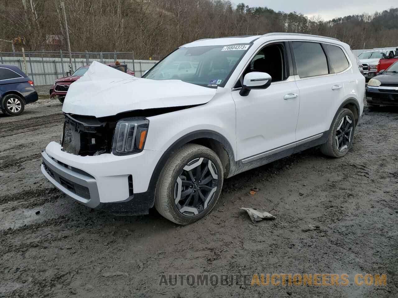 5XYP34GCXRG413208 KIA TELLURIDE 2024