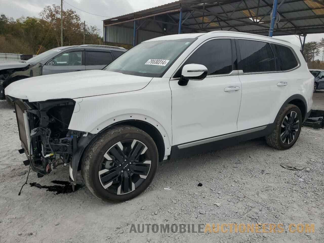 5XYP5DGC0RG426592 KIA TELLURIDE 2024