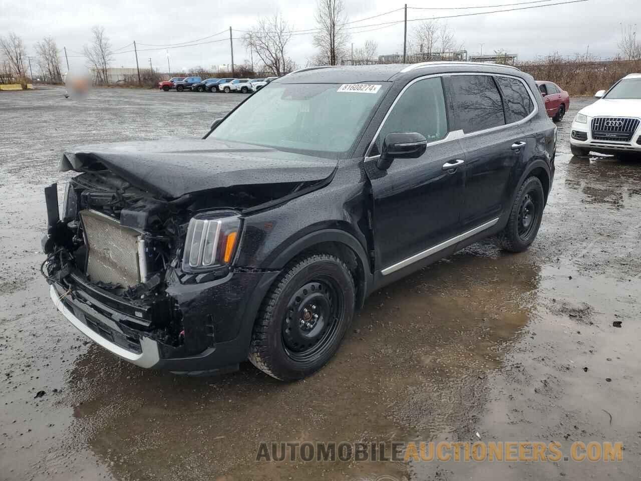 5XYP5DGC5RG482978 KIA TELLURIDE 2024