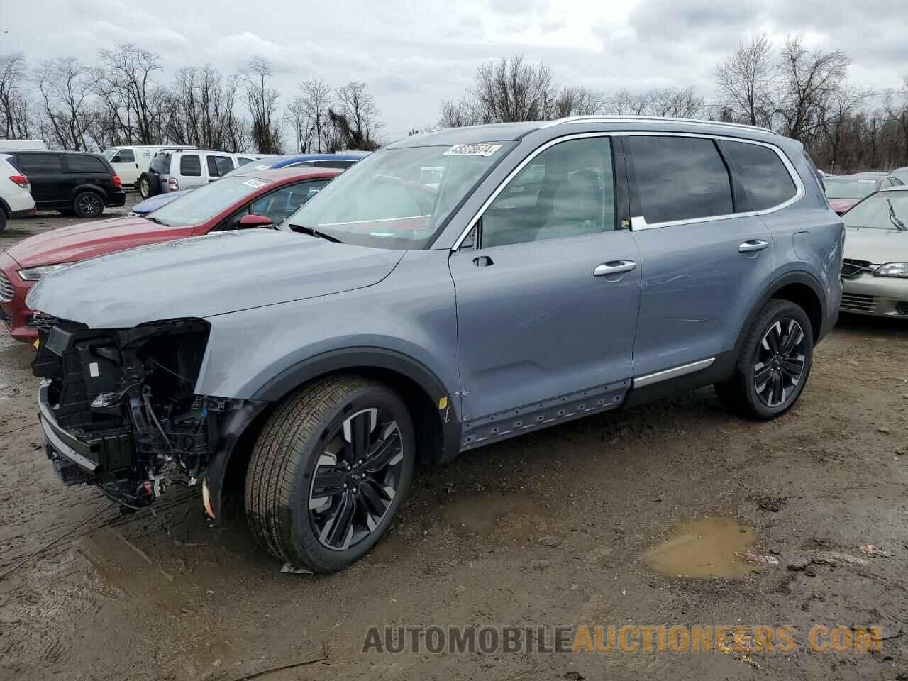 5XYP5DGC8RG464863 KIA TELLURIDE 2024