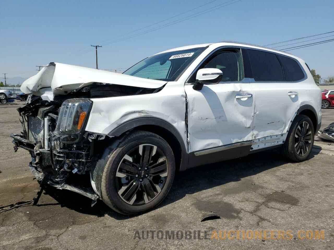 5XYP5DGC8RG518064 KIA TELLURIDE 2024