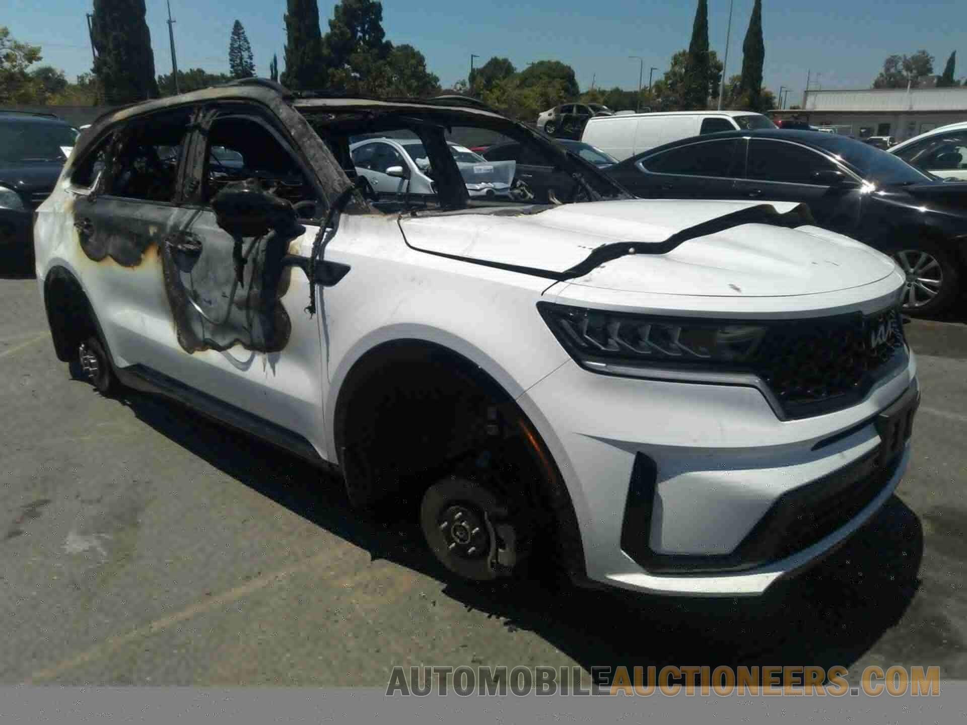 5XYRL4LC5PG167616 KIA SORENTO 2023