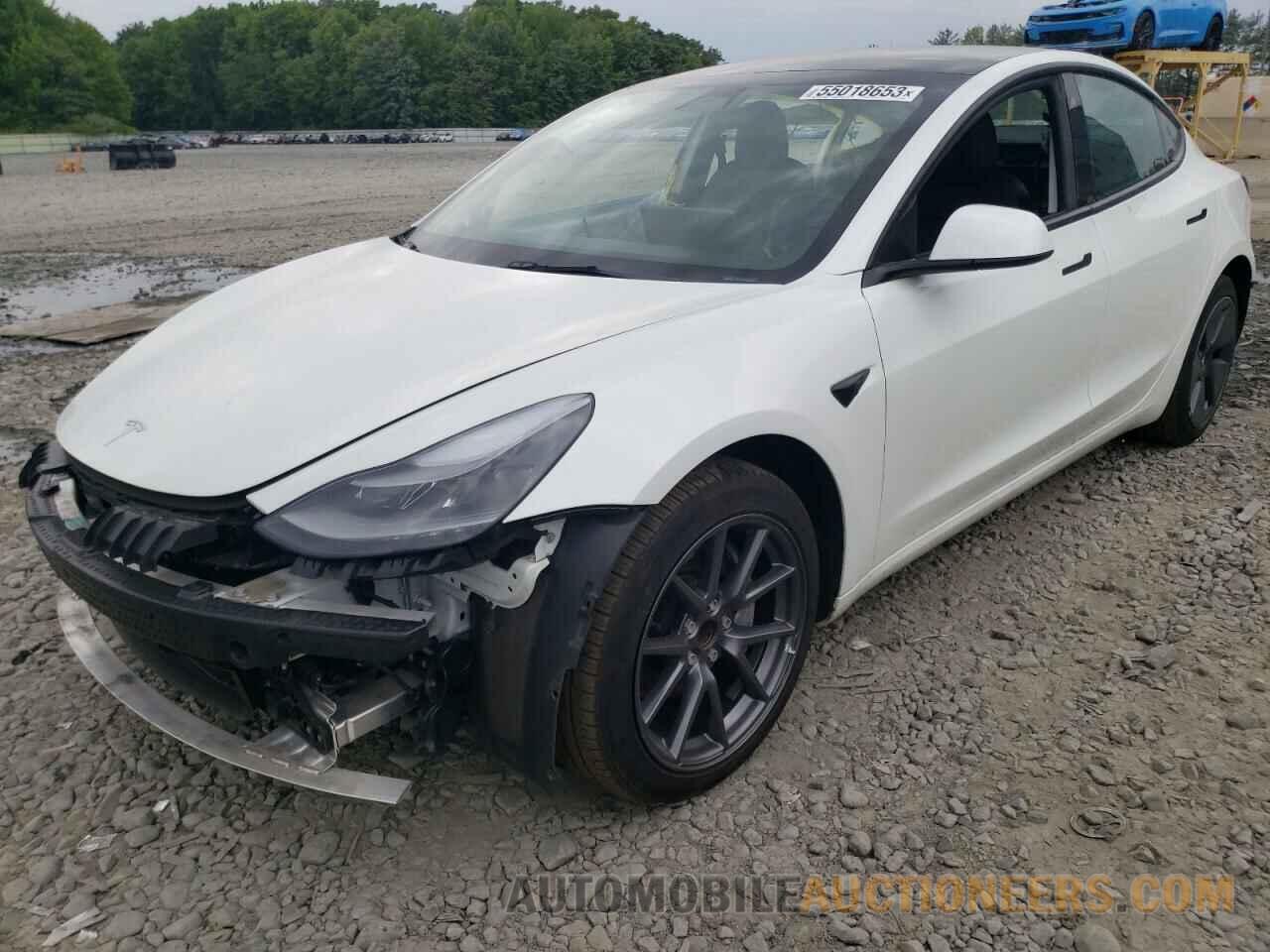 5YJ3E1EA0NF113445 TESLA MODEL 3 2022