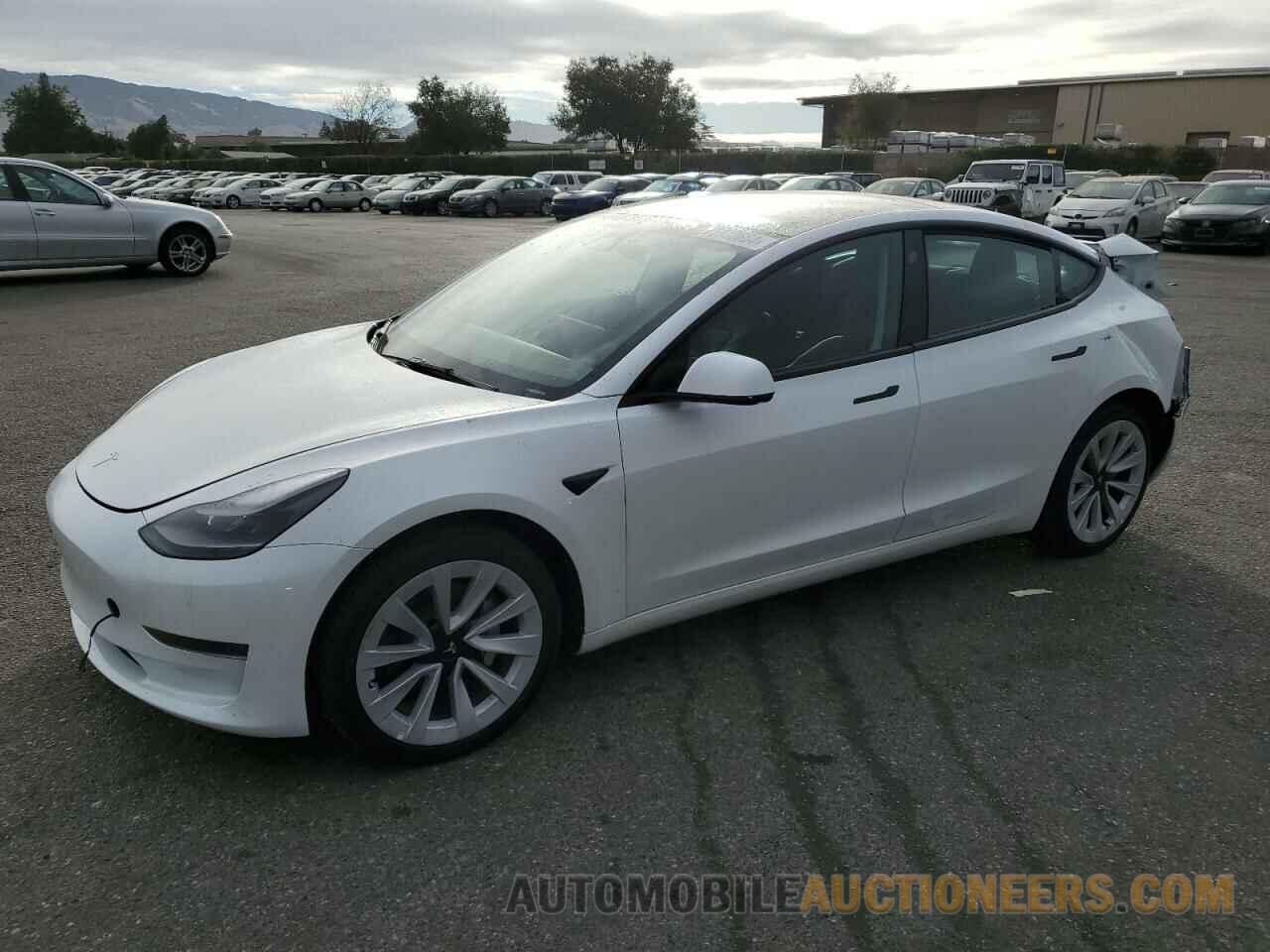 5YJ3E1EA2PF541374 TESLA MODEL 3 2023