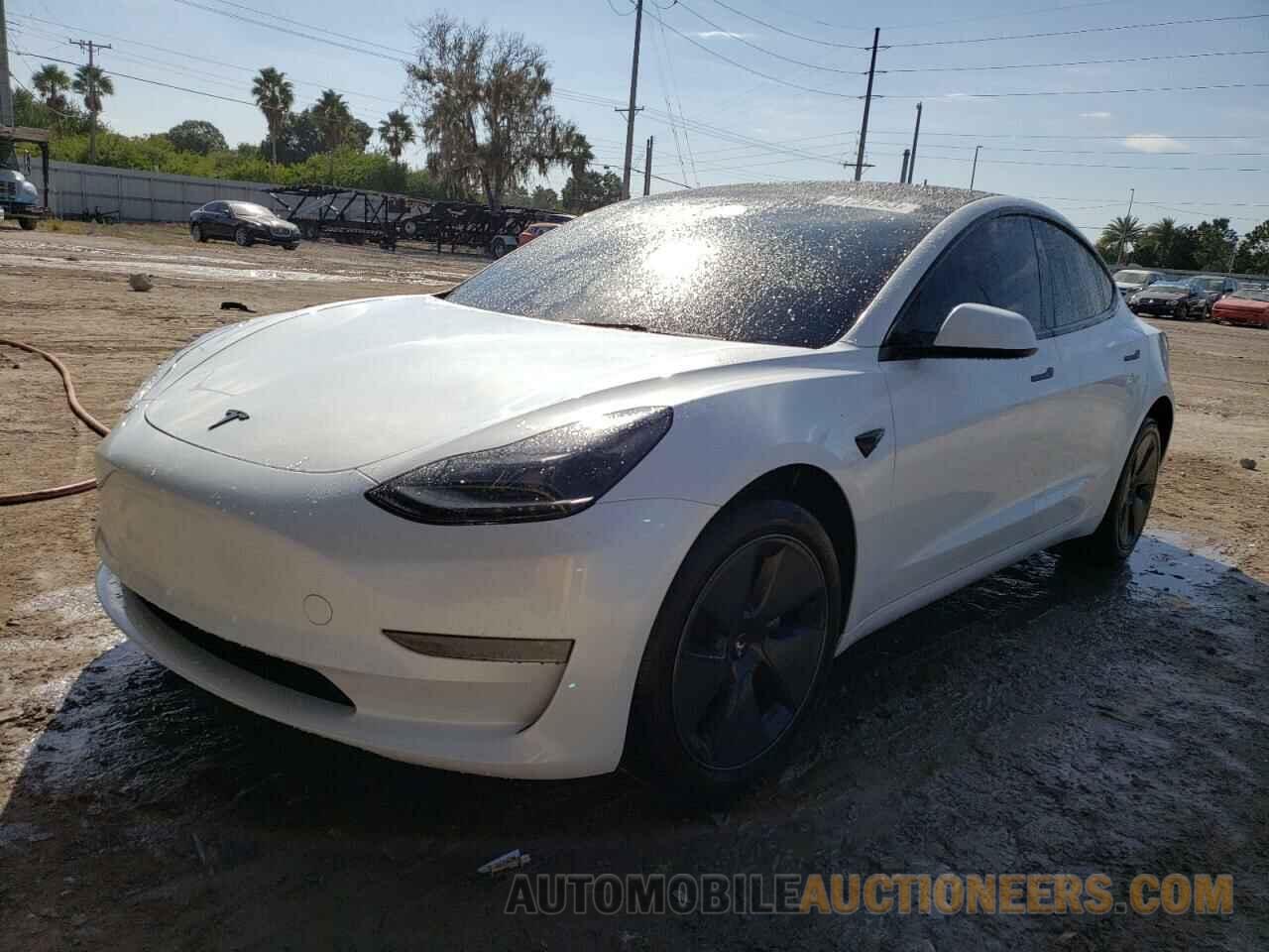 5YJ3E1EA6PF590884 TESLA MODEL 3 2023