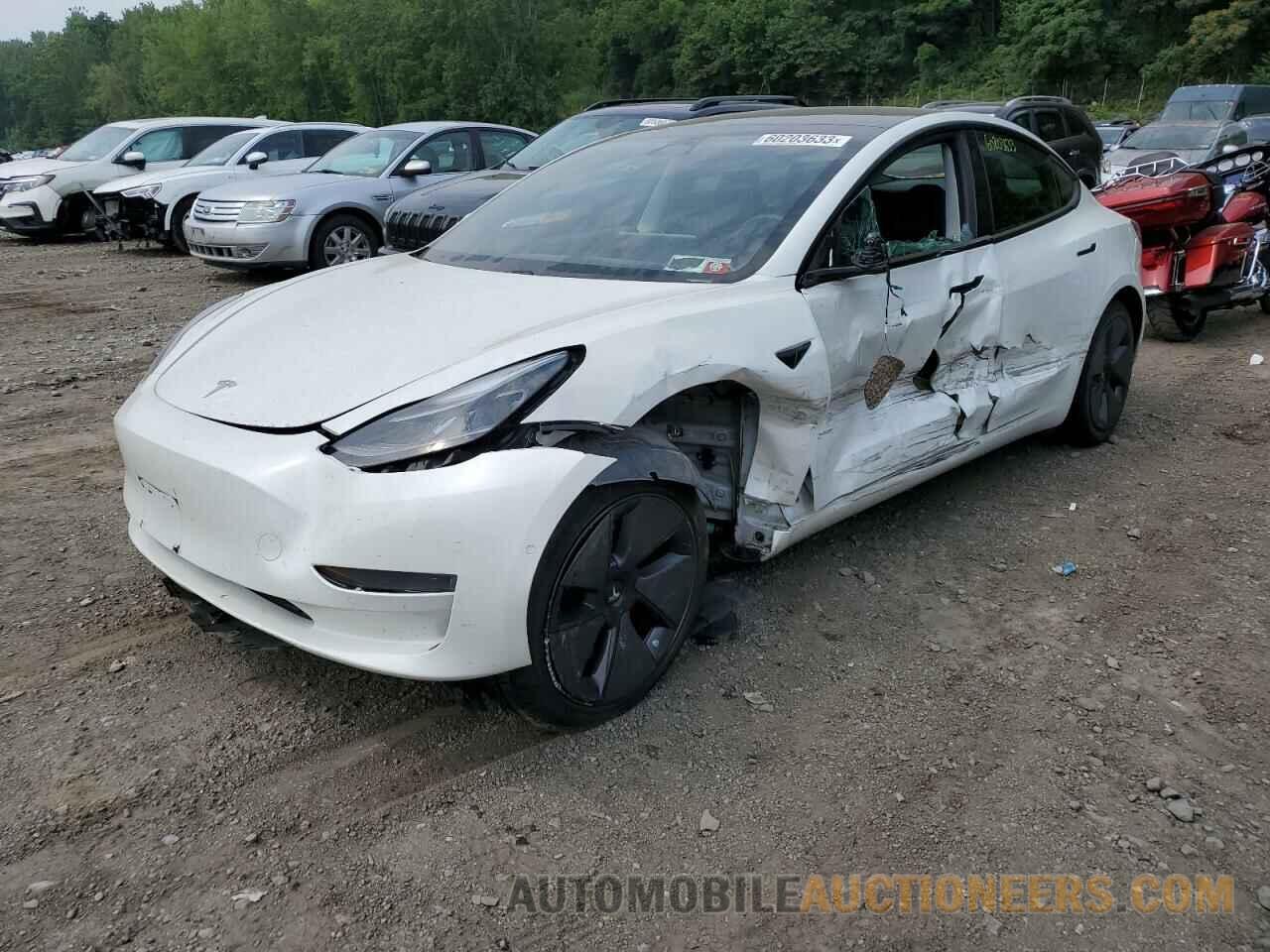 5YJ3E1EA8MF923498 TESLA MODEL 3 2021