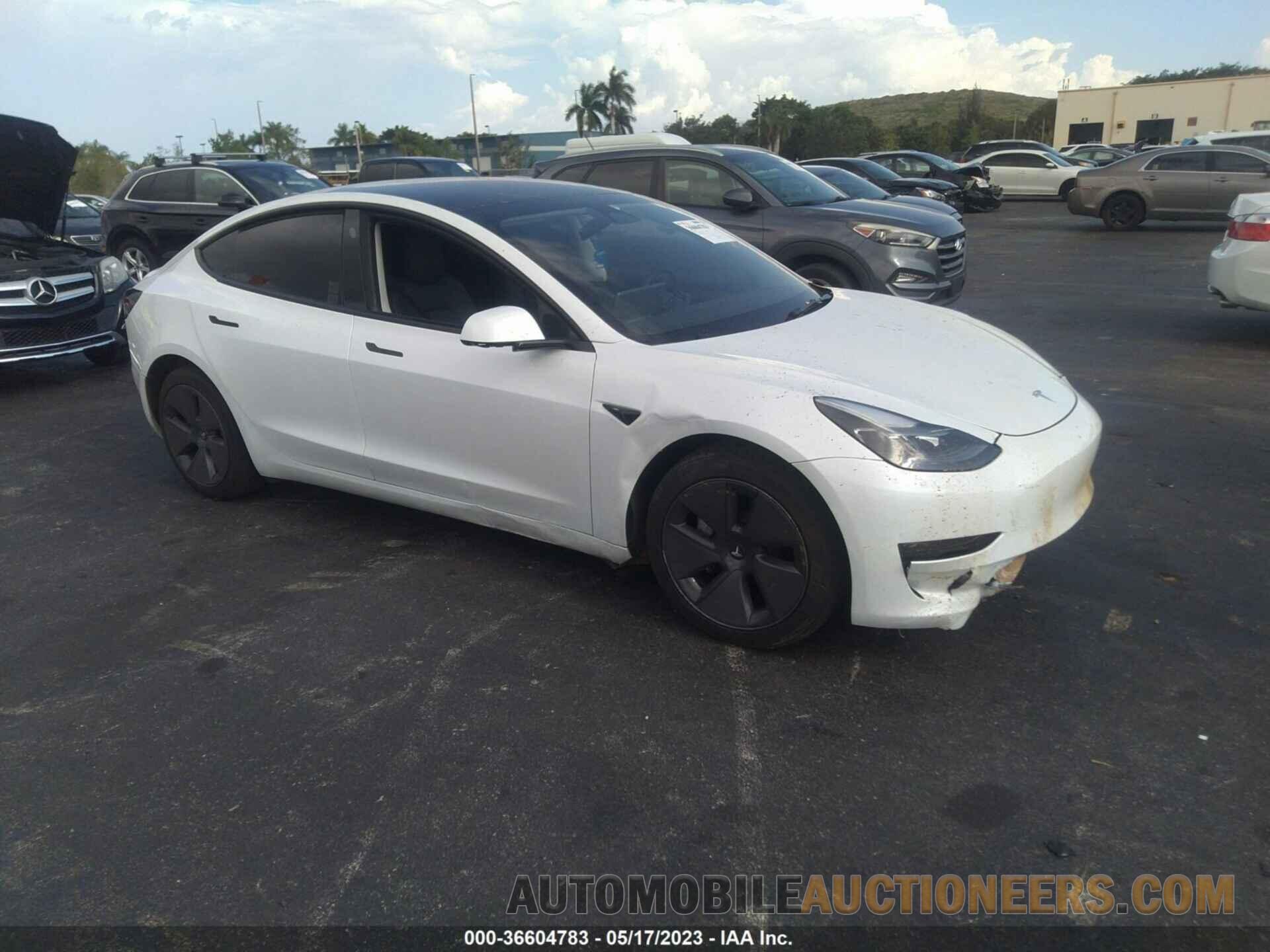 5YJ3E1EA9PF426982 TESLA MODEL 3 2023