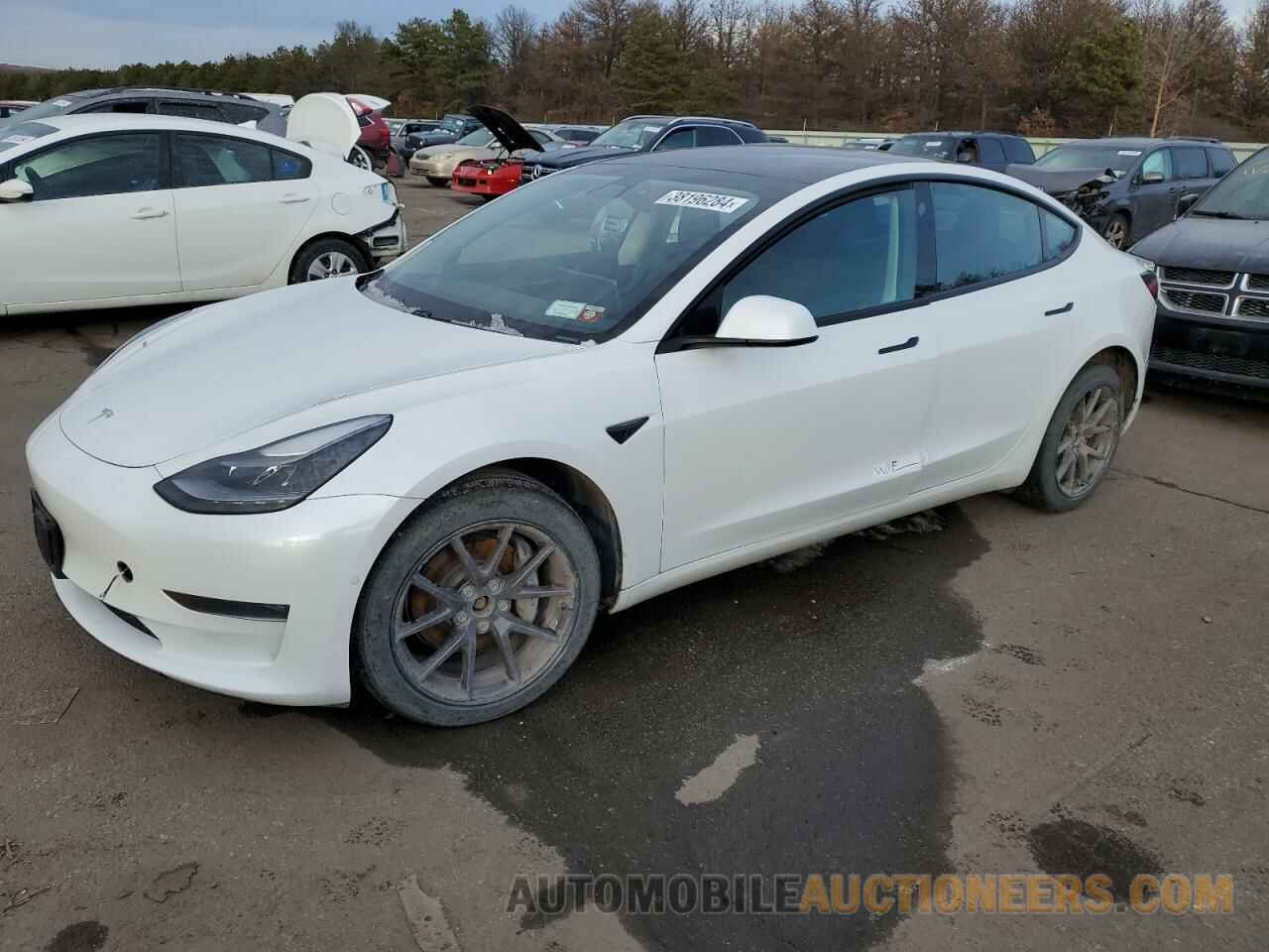 5YJ3E1EB5MF045053 TESLA MODEL 3 2021