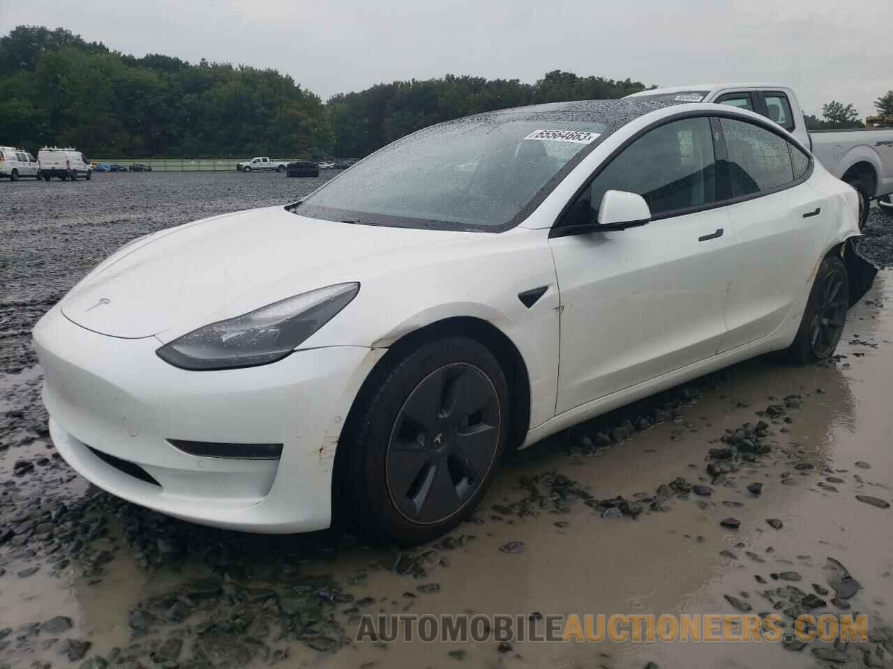 5YJ3E1EB7MF019604 TESLA MODEL 3 2021