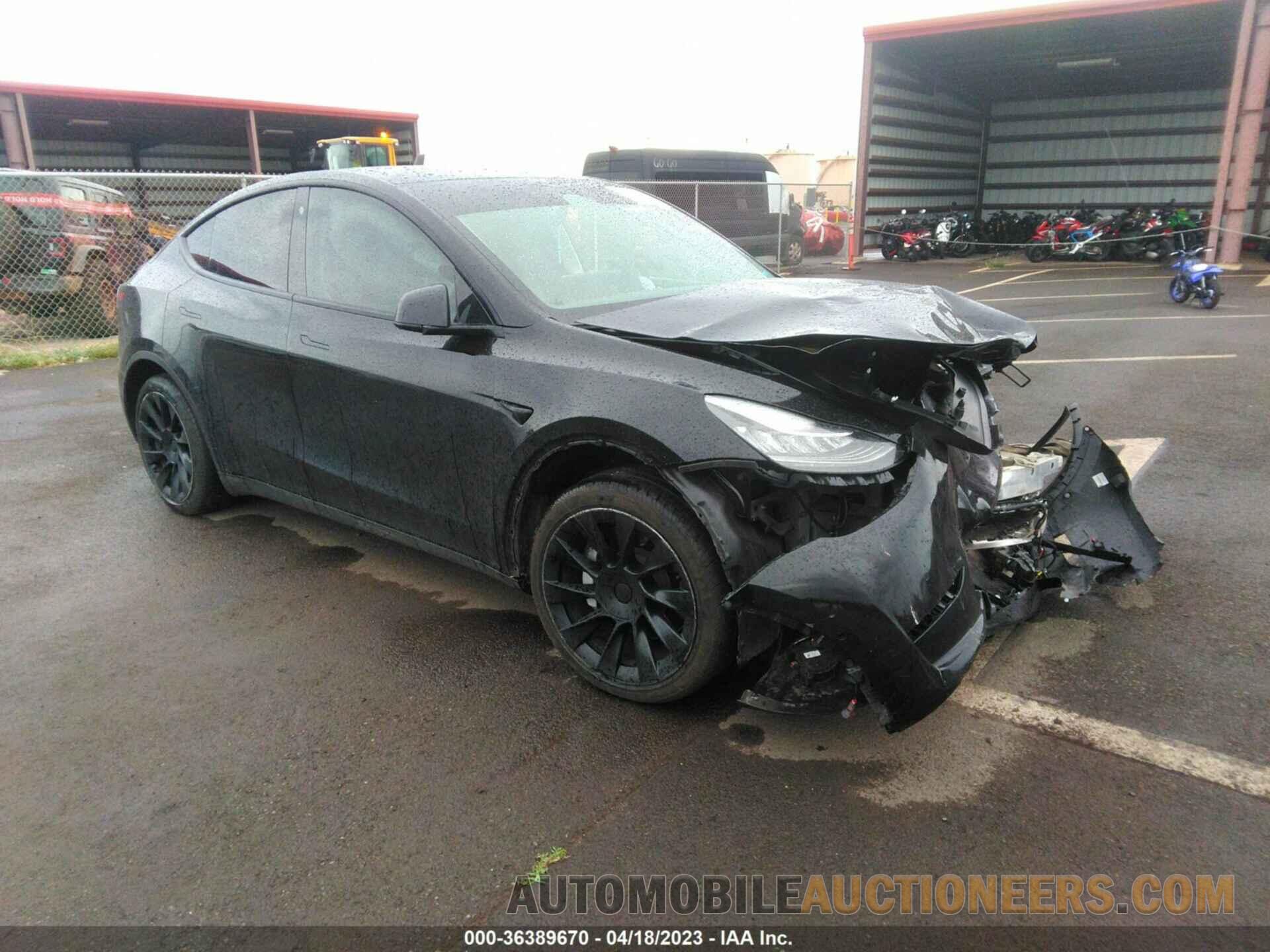 5YJYGAED9MF174043 TESLA MODEL Y 2021