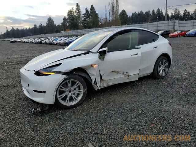 5YJYGAEDXMF174021 TESLA MODEL Y 2021