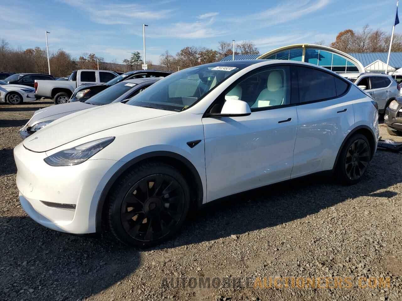 5YJYGAEE1MF144429 TESLA MODEL Y 2021