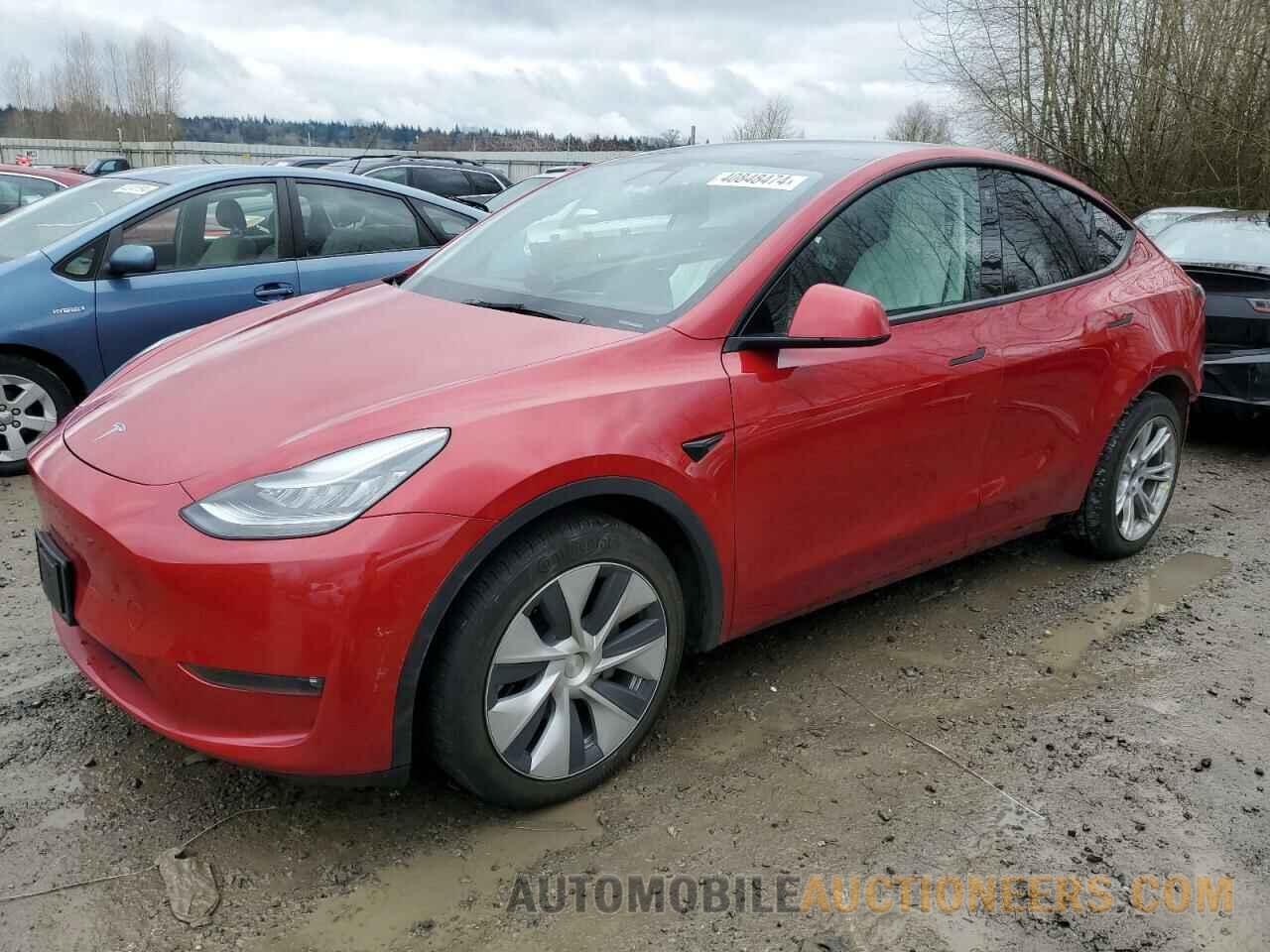 5YJYGAEE8MF116031 TESLA MODEL Y 2021