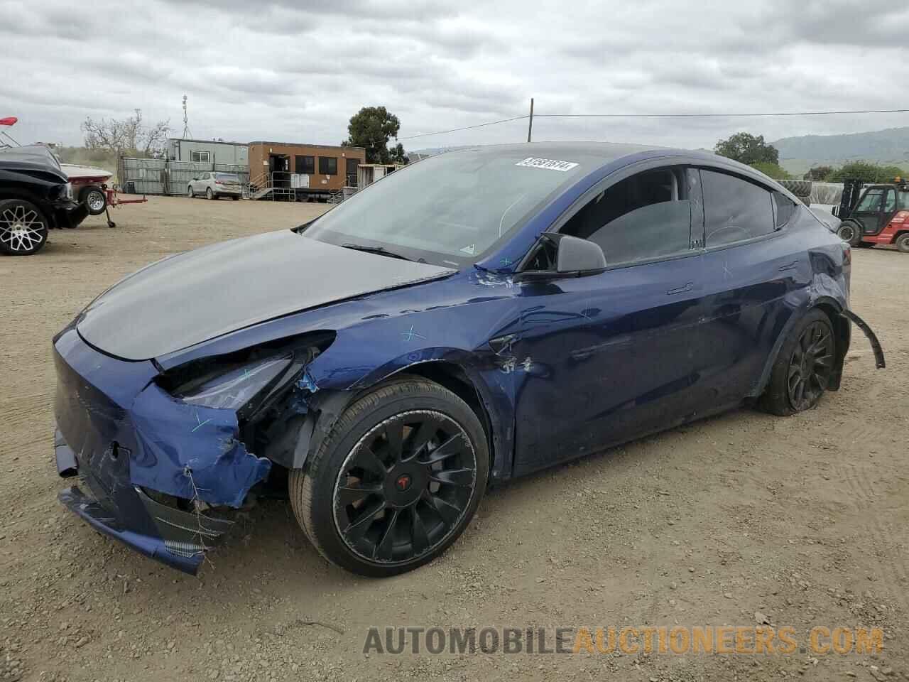 5YJYGAEE8MF159218 TESLA MODEL Y 2021