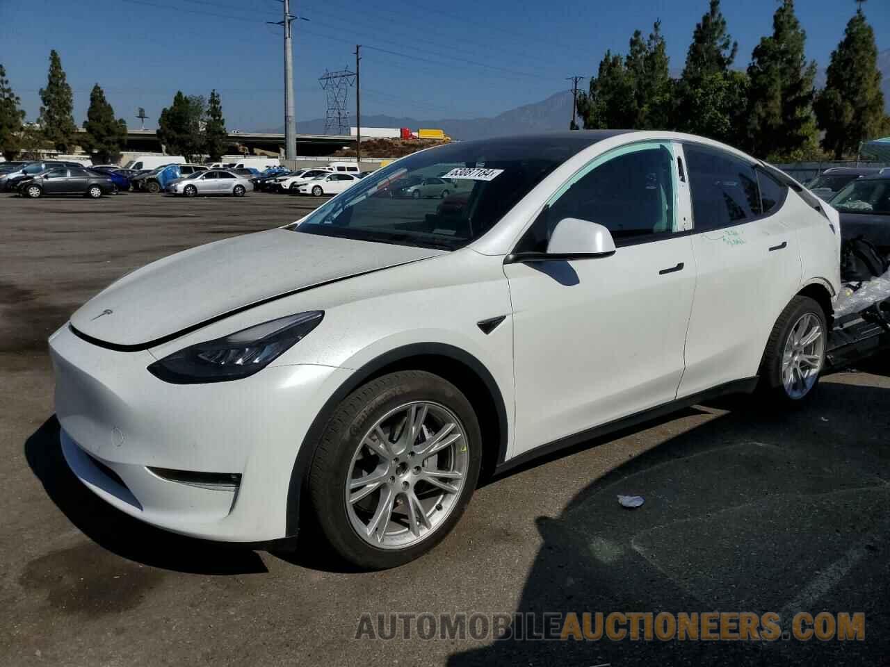 5YJYGAEE8MF160014 TESLA MODEL Y 2021