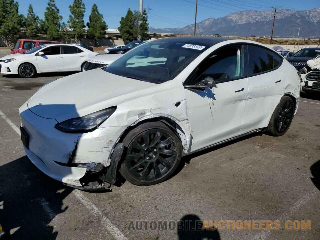 5YJYGDED2MF163189 TESLA MODEL Y 2021