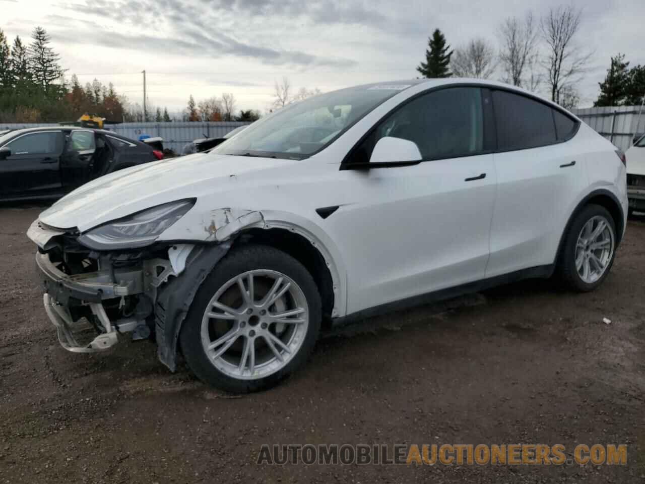 5YJYGDED3MF119332 TESLA MODEL Y 2021