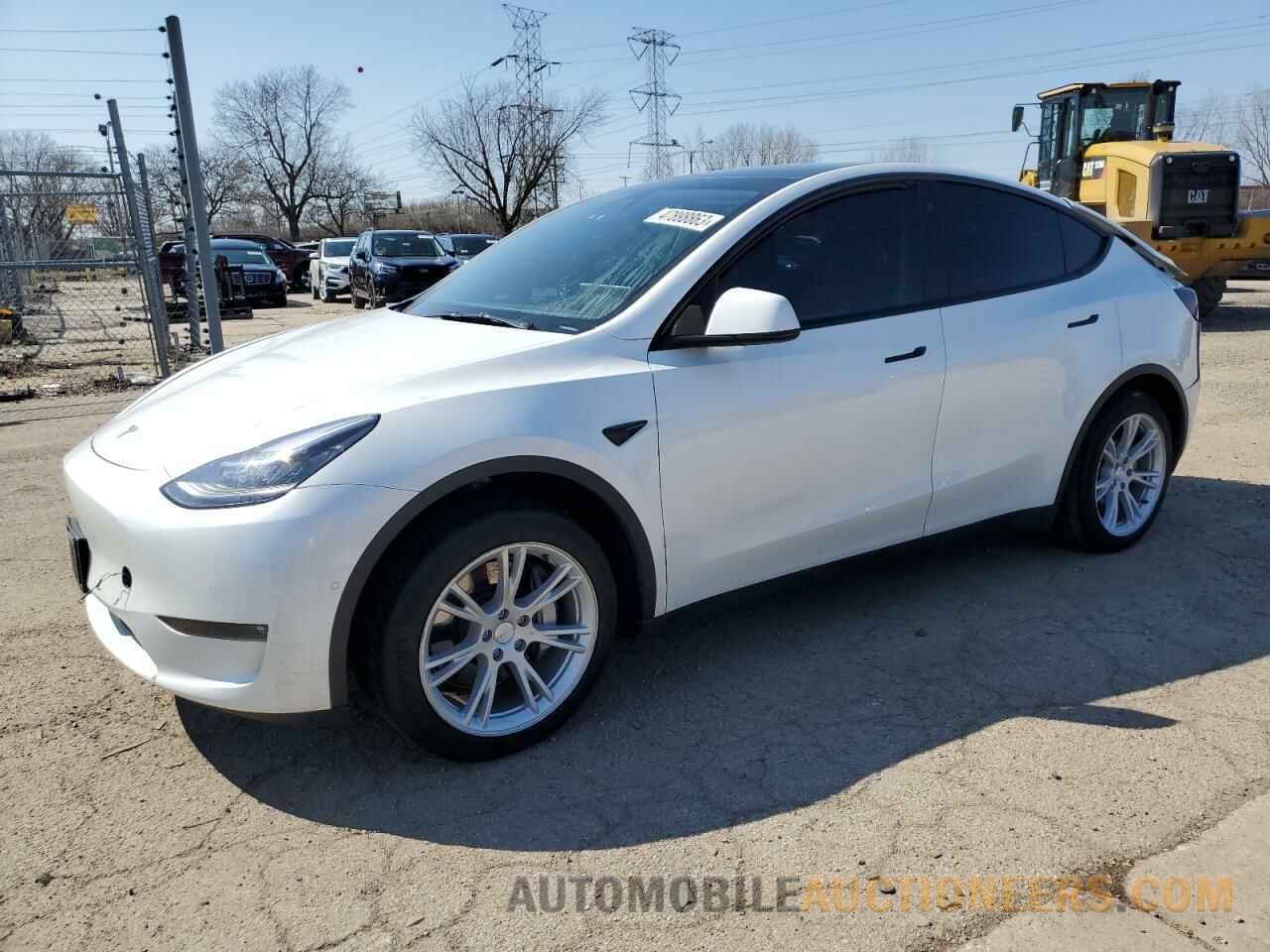 5YJYGDED7MF174981 TESLA MODEL Y 2021