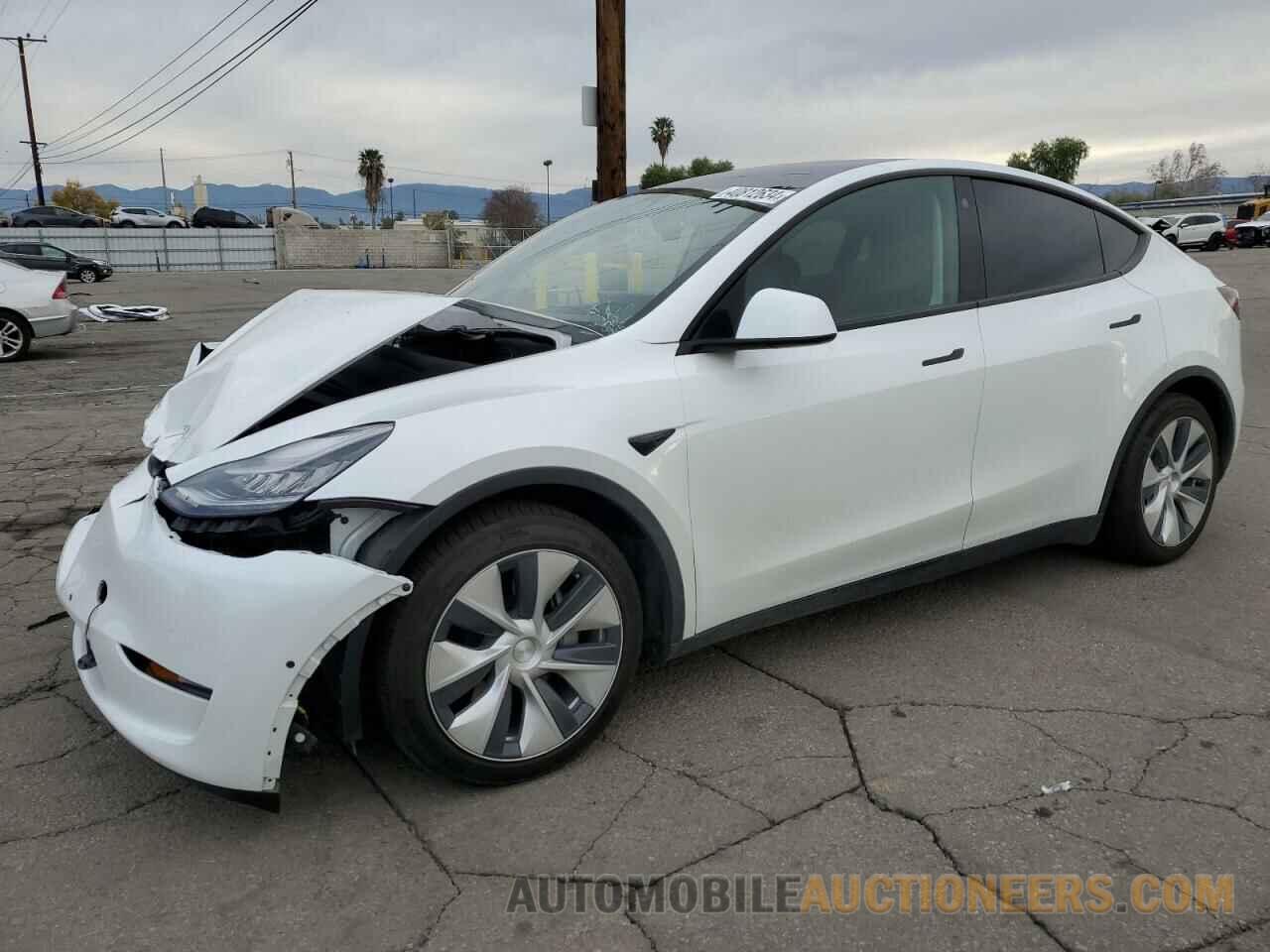 5YJYGDEE0MF077565 TESLA MODEL Y 2021