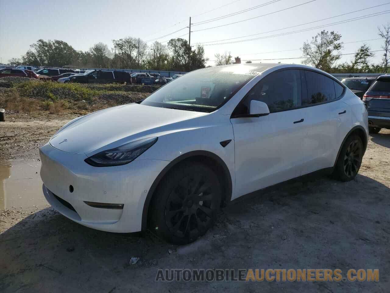 5YJYGDEE0MF173776 TESLA MODEL Y 2021