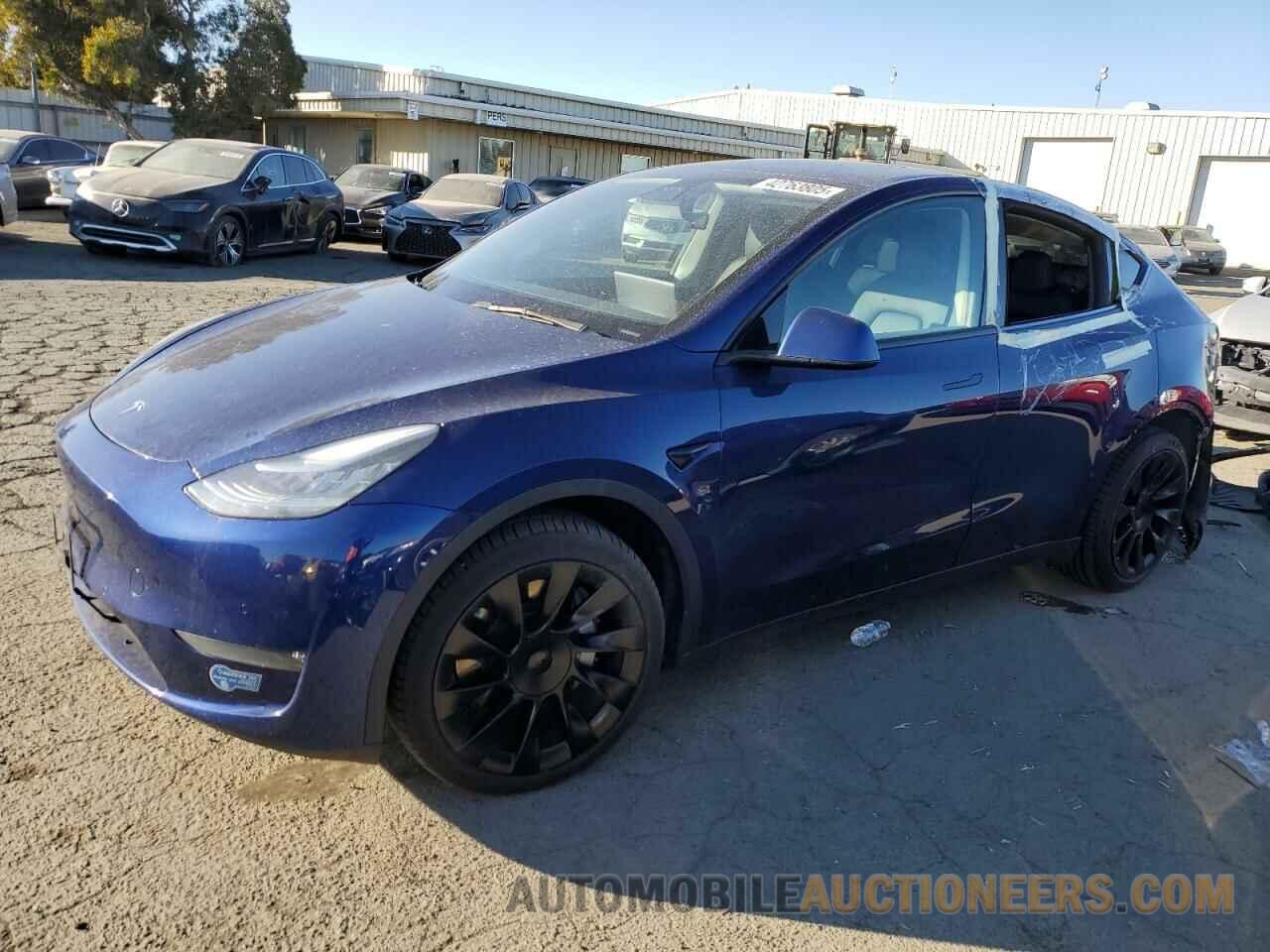 5YJYGDEE1MF097307 TESLA MODEL Y 2021