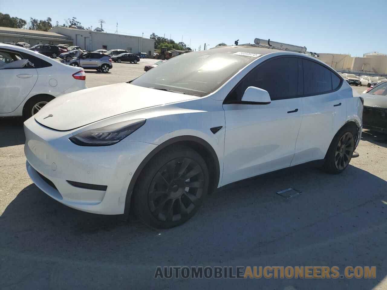 5YJYGDEE1MF097436 TESLA MODEL Y 2021