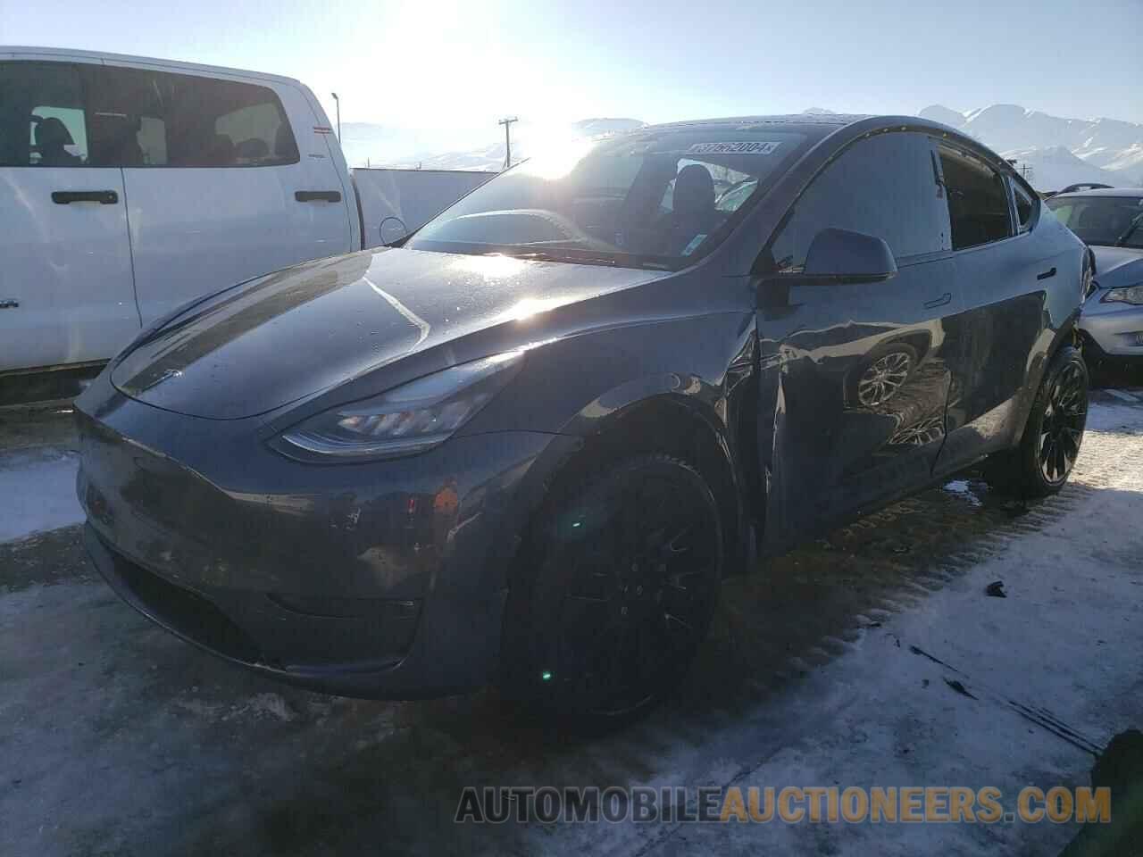 5YJYGDEE1MF137871 TESLA MODEL Y 2021