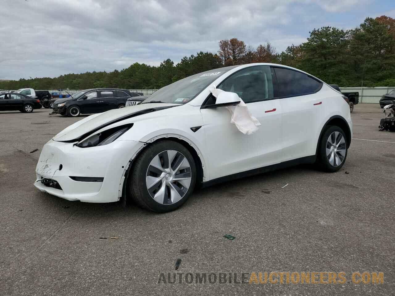 5YJYGDEE1MF146554 TESLA MODEL Y 2021