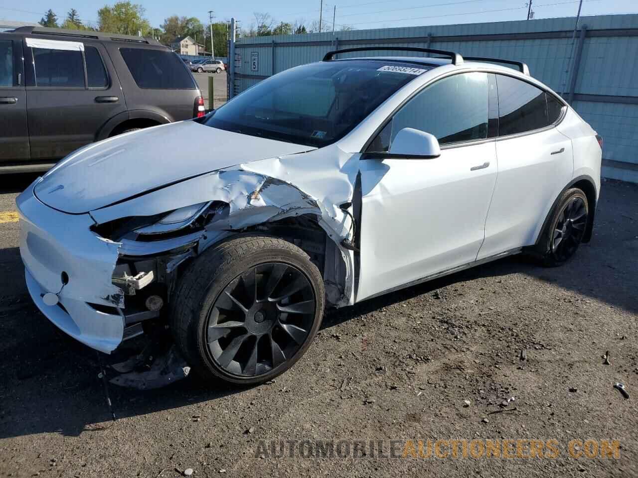 5YJYGDEE1MF161135 TESLA MODEL Y 2021