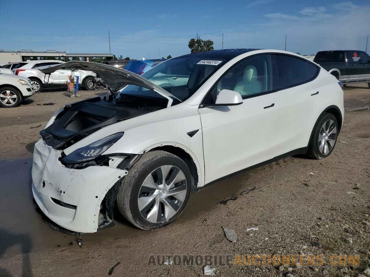 5YJYGDEE1MF195463 TESLA MODEL Y 2021