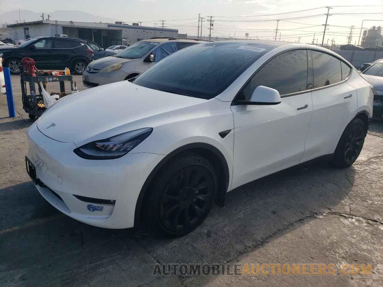 5YJYGDEE1MF294784 TESLA MODEL Y 2021