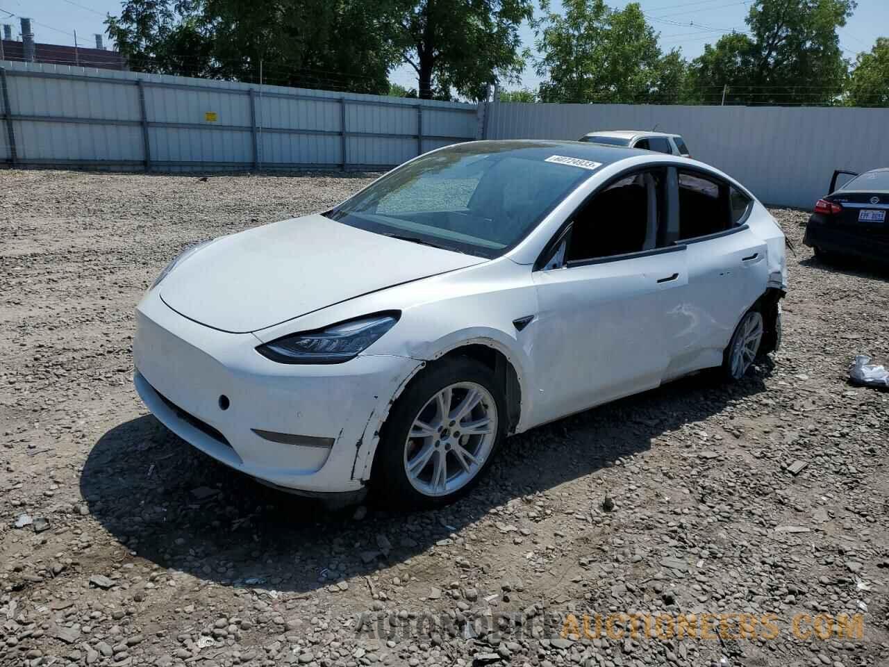 5YJYGDEE1MF299774 TESLA MODEL Y 2021